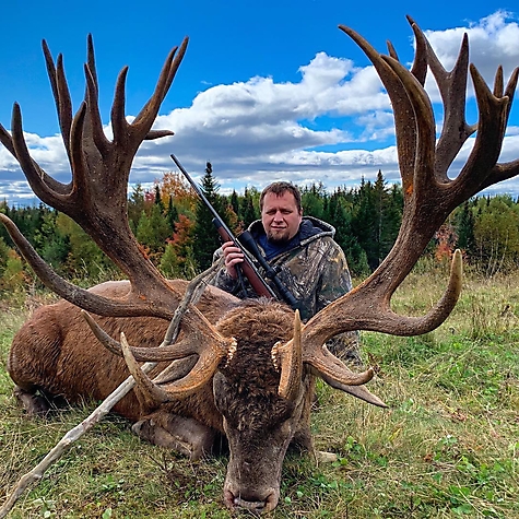 2019 Red Stag